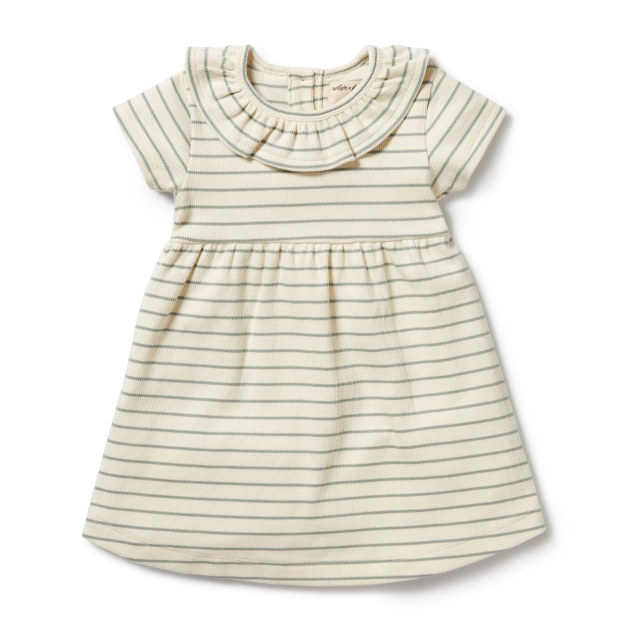 Baby [0-23M] Wilson & Frenchy Dresses | Wilson And Frenchy Organic Ruffle Dress Petit Sage