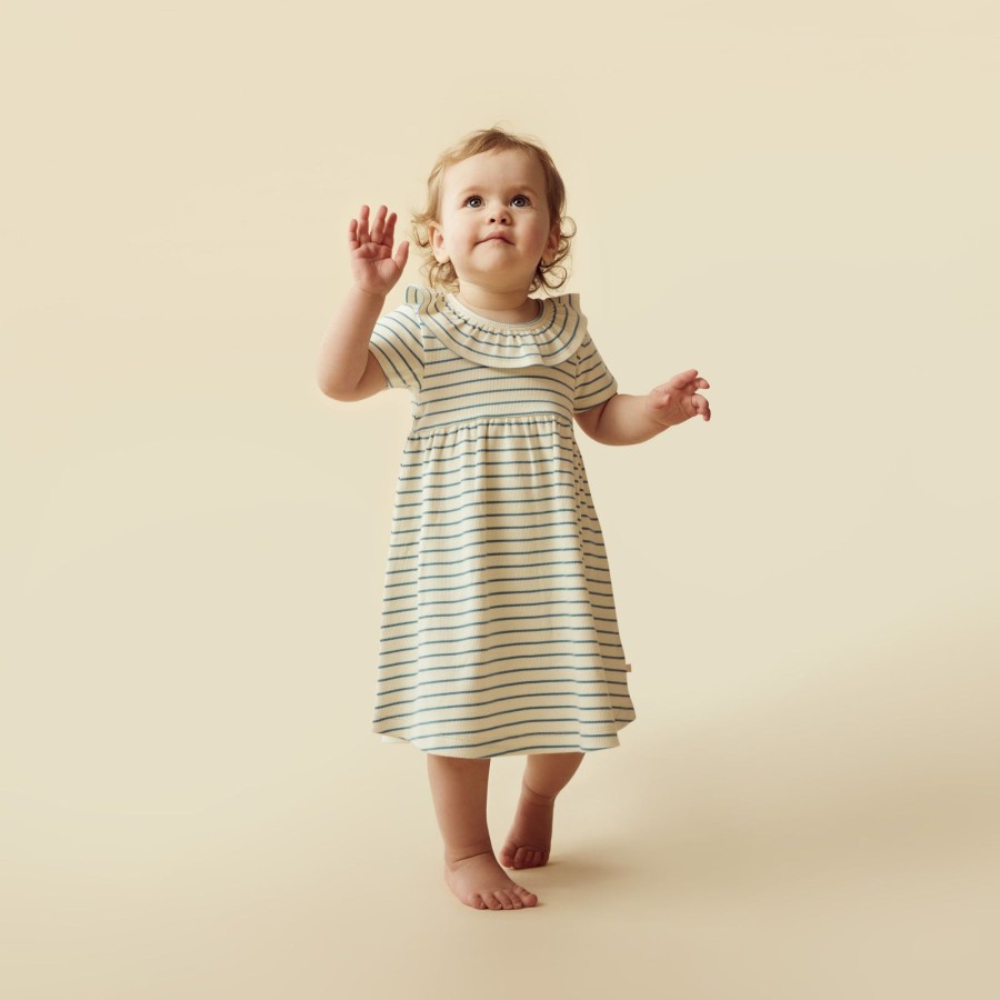 Baby [0-23M] Wilson & Frenchy Dresses | Wilson And Frenchy Organic Ruffle Dress Petit Sage