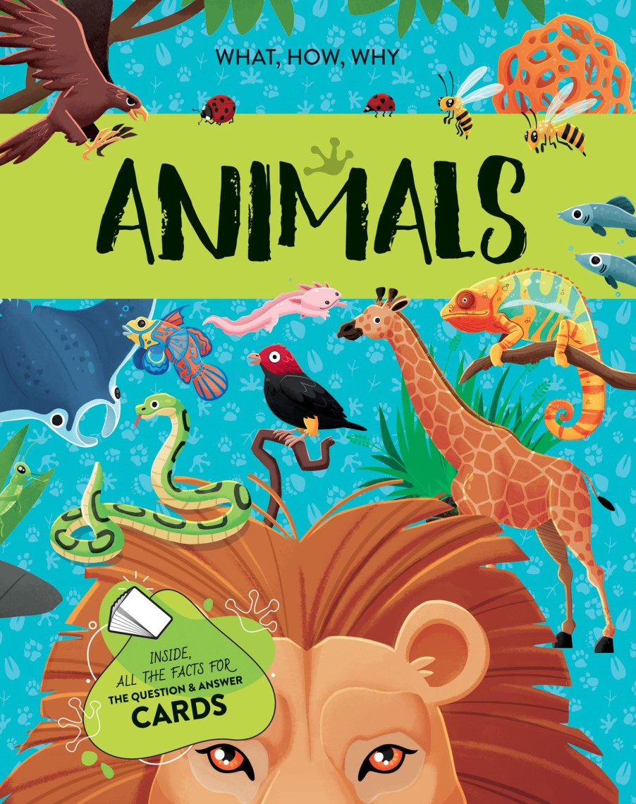 Play + Learn Sassi Games | Animals Ultimate Atlas, 3D Models, Book And Game Set