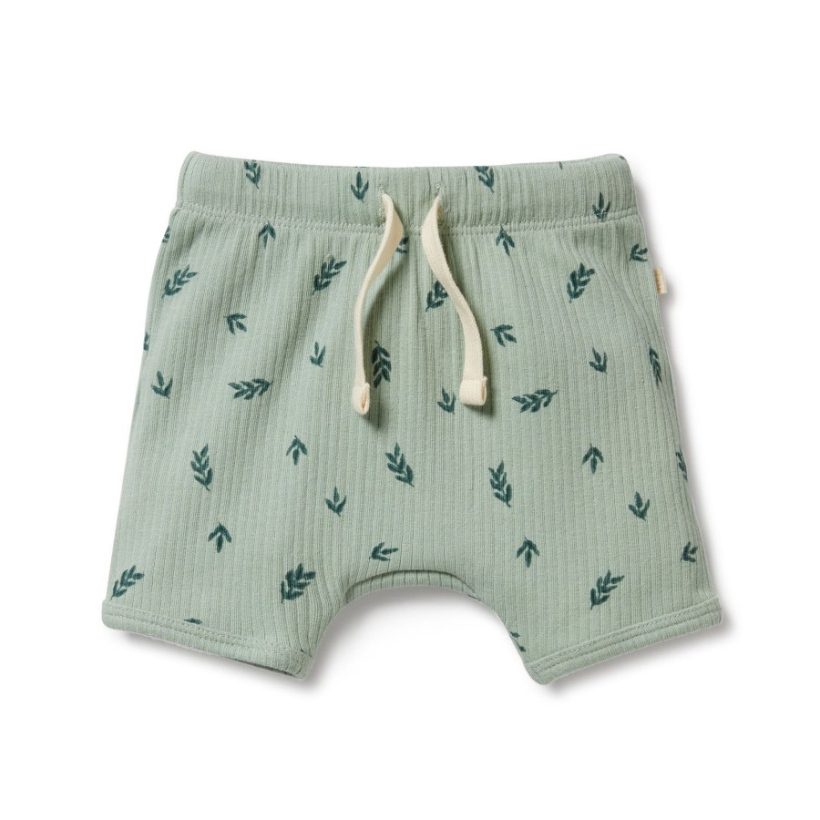 Baby [0-23M] Wilson & Frenchy Bottoms | Wilson And Frenchy Organic Rib Short Falling Leaf