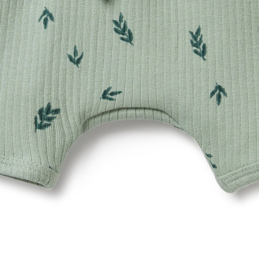 Baby [0-23M] Wilson & Frenchy Bottoms | Wilson And Frenchy Organic Rib Short Falling Leaf