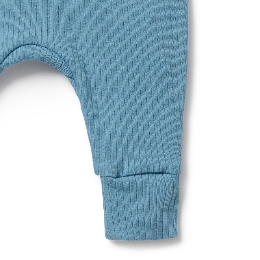 Baby [0-23M] Wilson & Frenchy Bottoms | Wilson And Frenchy Organic Rib Pant Sky Blue