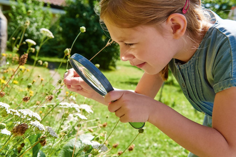 Play + Learn Haba Nature | Terra Kids Magnifiying Glass