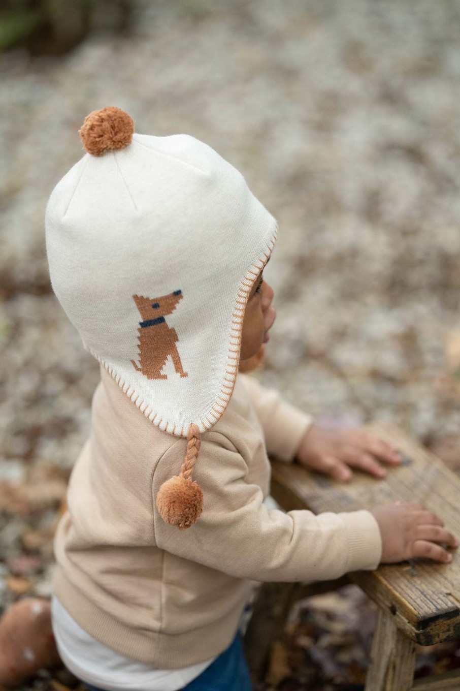 Child [2-14] Toshi Beanies | Toshi Organic Earmuff - Storytime / Puppy