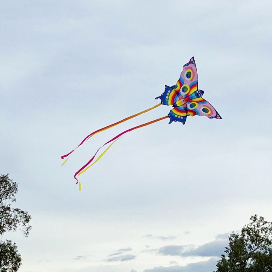 Play + Learn Tiger Tribe Outdoor | Butterfly Kite