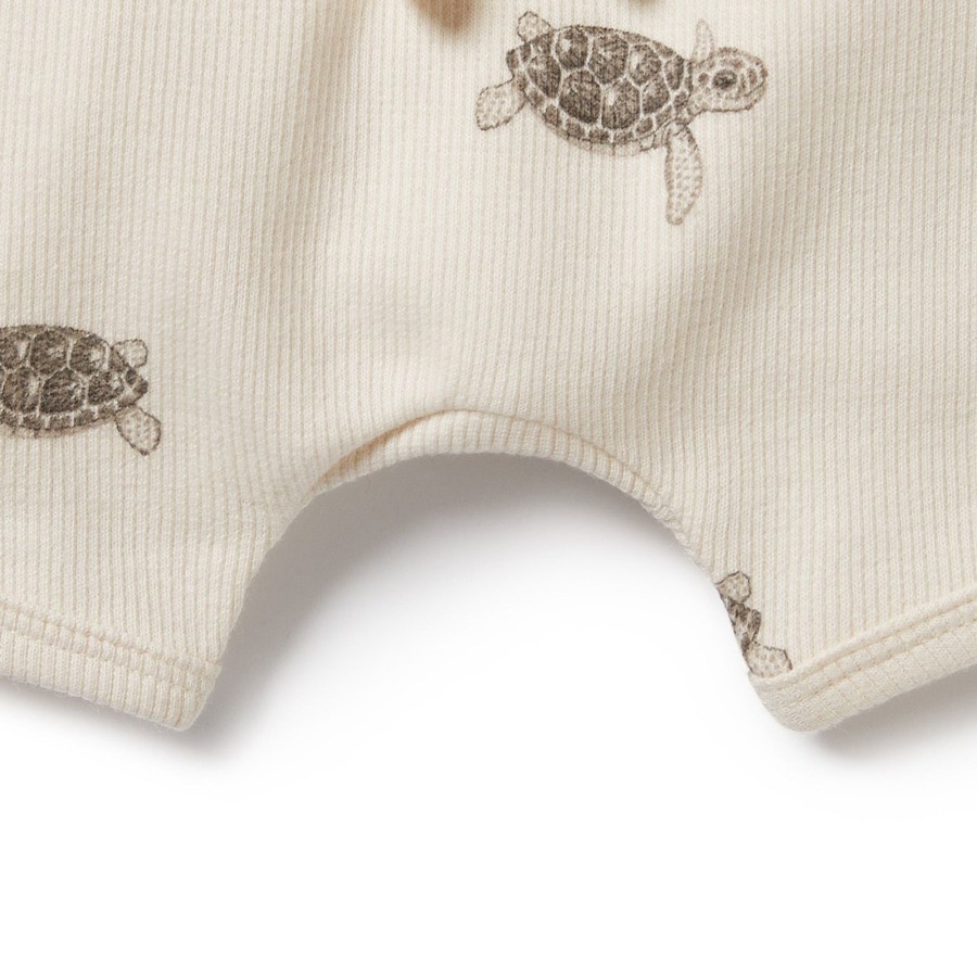 Baby [0-23M] Wilson & Frenchy Bottoms | Wilson And Frenchy Organic Tie Front Short Tiny Turtle