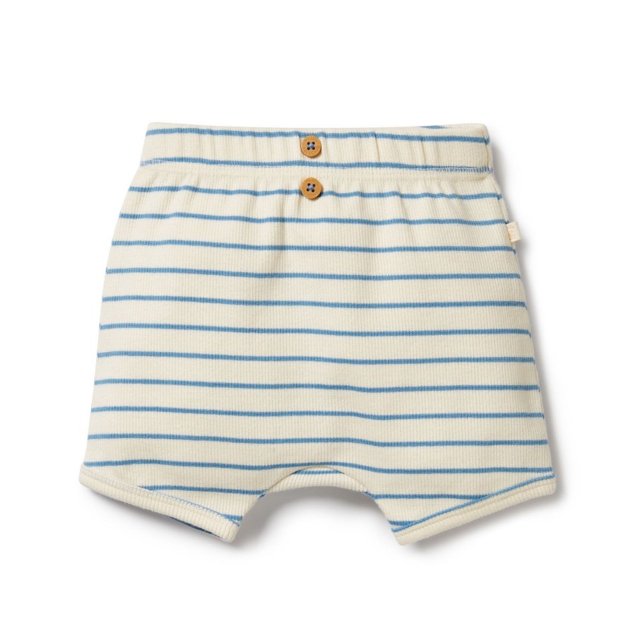 Baby [0-23M] Wilson & Frenchy Bottoms | Wilson And Frenchy Organic Short Petit Blue