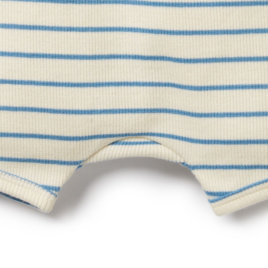 Baby [0-23M] Wilson & Frenchy Bottoms | Wilson And Frenchy Organic Short Petit Blue