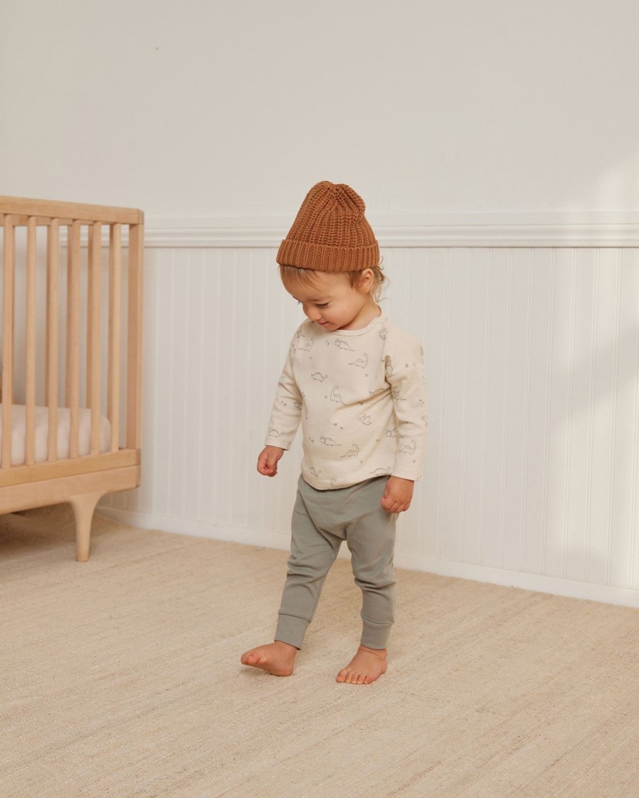 Baby [0-23M] Quincy Mae Tops | Quincy Mae Long Sleeve Tee - Dino