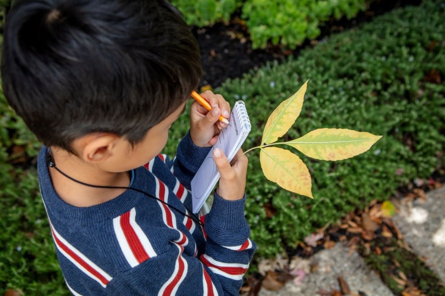 Play + Learn Tiger Tribe Nature | Explorer Microscope Set