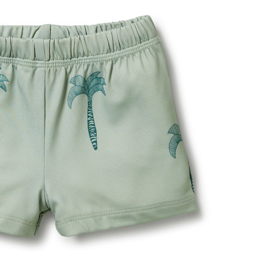 Child [2-14] Wilson & Frenchy Swim | Wilson And Frenchy Rashie Swim Set Palm Tree