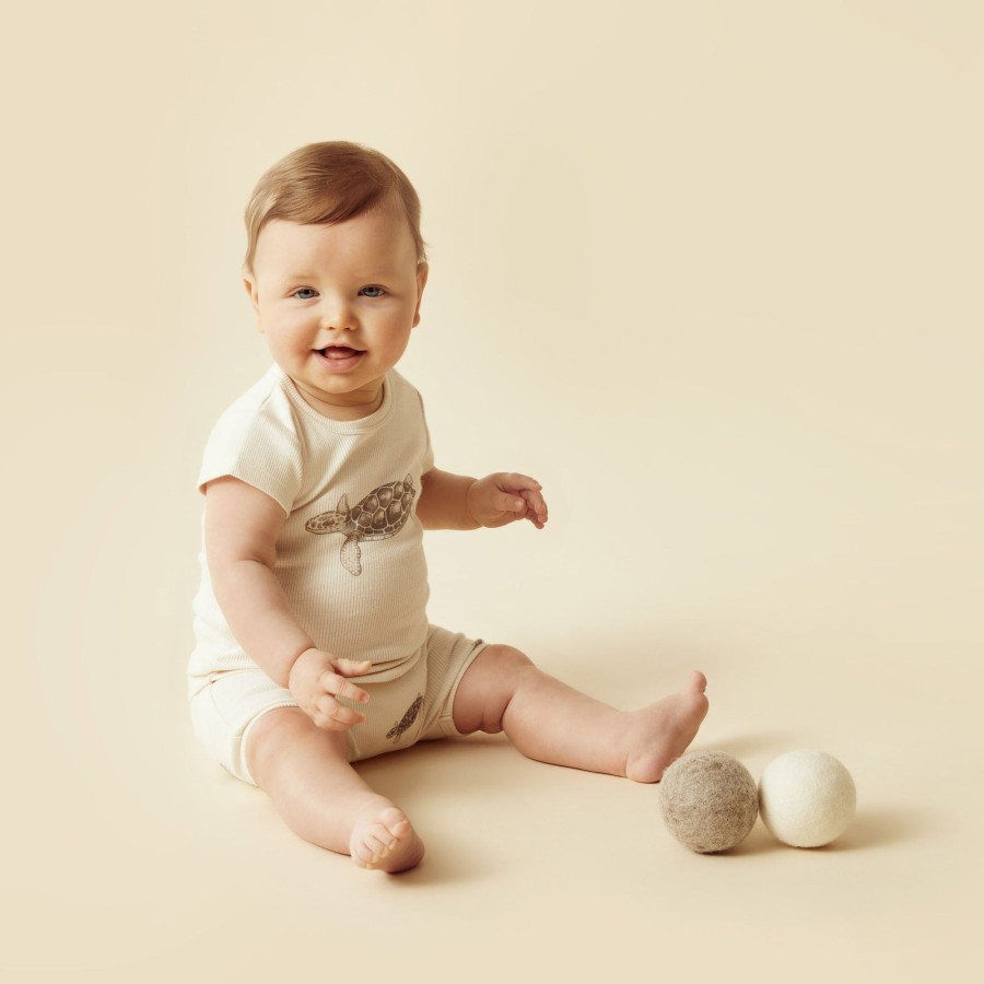 Baby [0-23M] Wilson & Frenchy Tops | Wilson And Frenchy Tiny Turtle Organic Tee