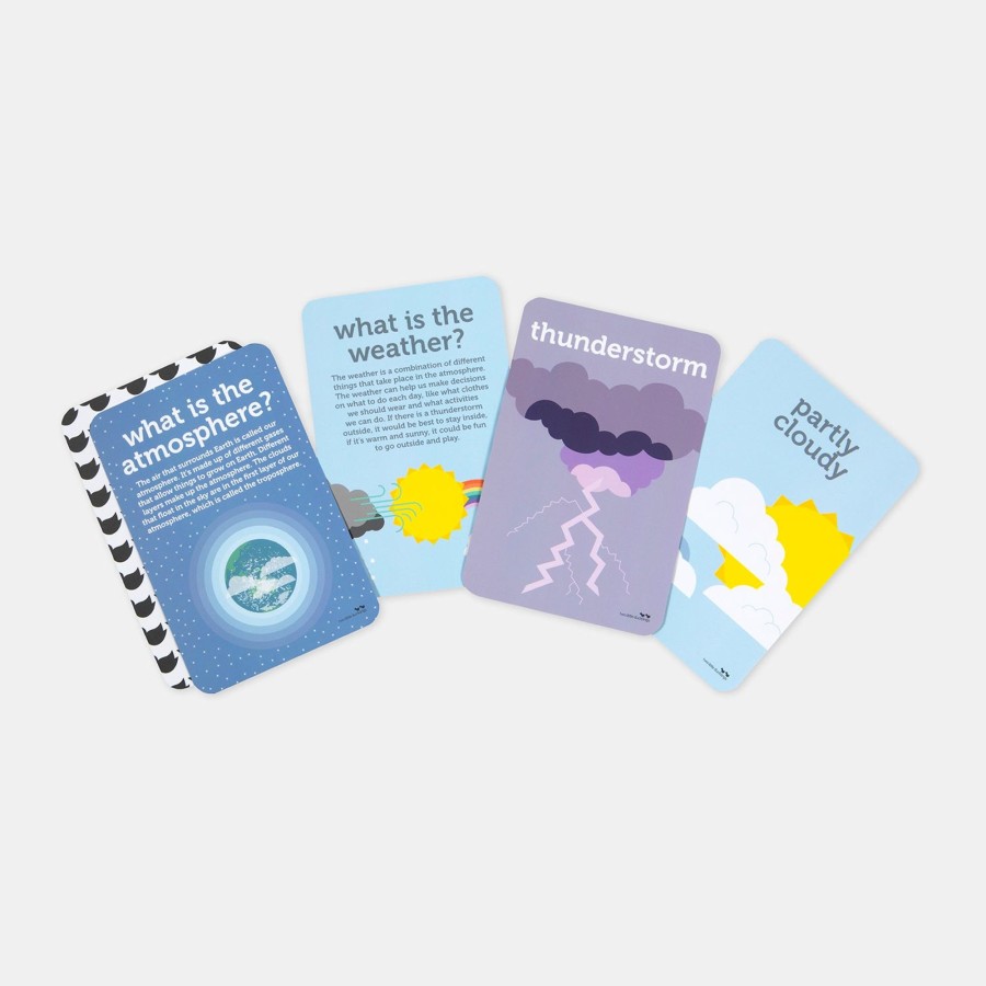 Play + Learn Two Little Ducklings Flash Cards | Flash Cards - Weather