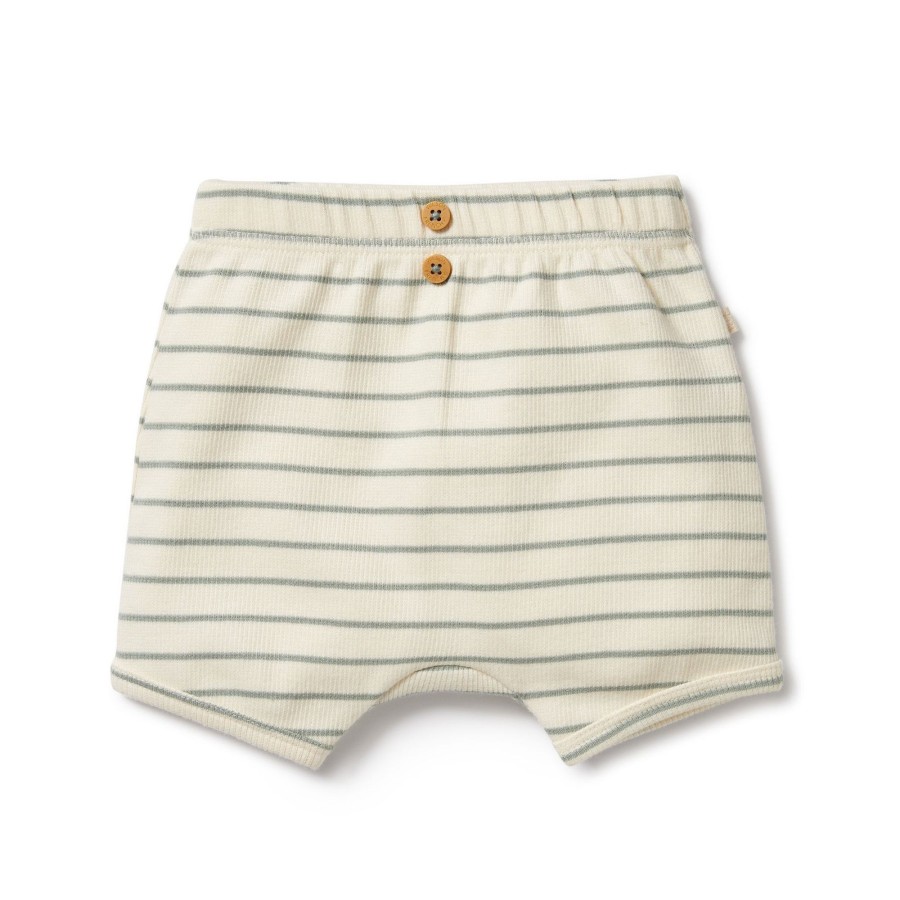 Baby [0-23M] Wilson & Frenchy Bottoms | Wilson And Frenchy Organic Short Petit Sage