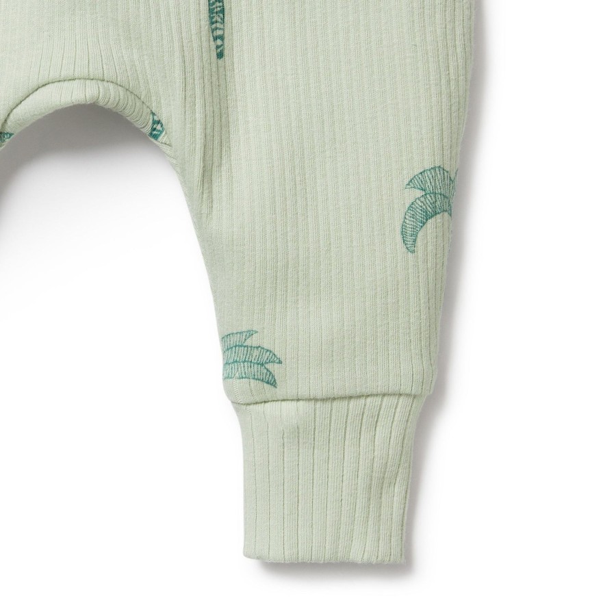 Baby [0-23M] Wilson & Frenchy Bottoms | Wilson And Frenchy Organic Rib Pant Palm Tree