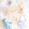 Baby [0-23M] Fox & Fallow Milestones | Fox & Fallow Baby Milestone Cards - Powder Blue