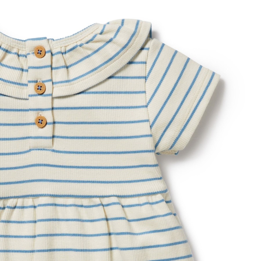 Baby [0-23M] Wilson & Frenchy Dresses | Wilson And Frenchy Organic Ruffle Dress Petit Blue