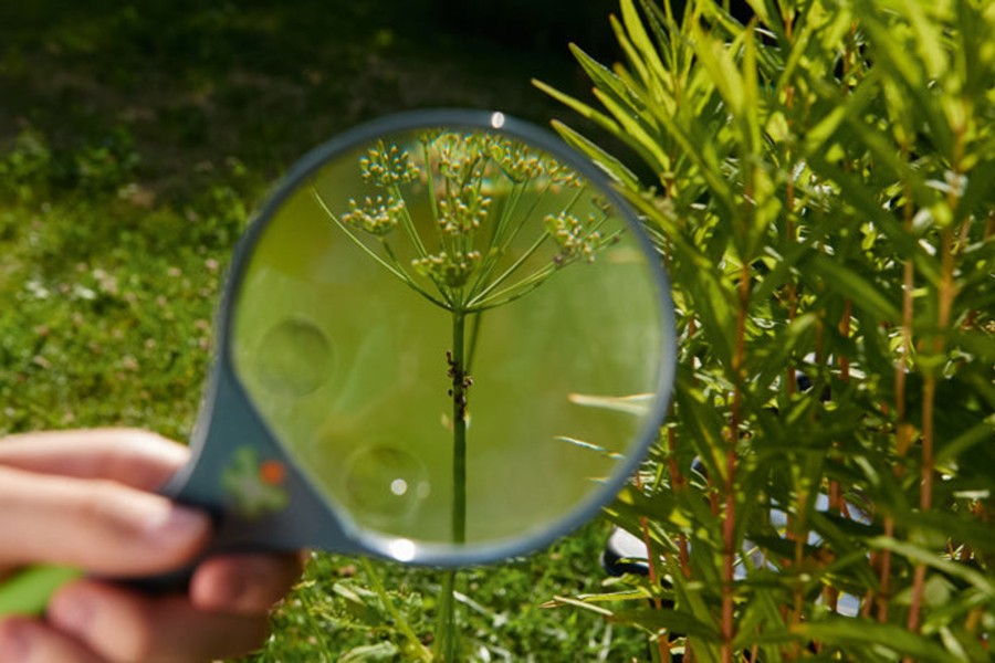 Play + Learn Haba Outdoor | Terra Kids Magnifiying Glass