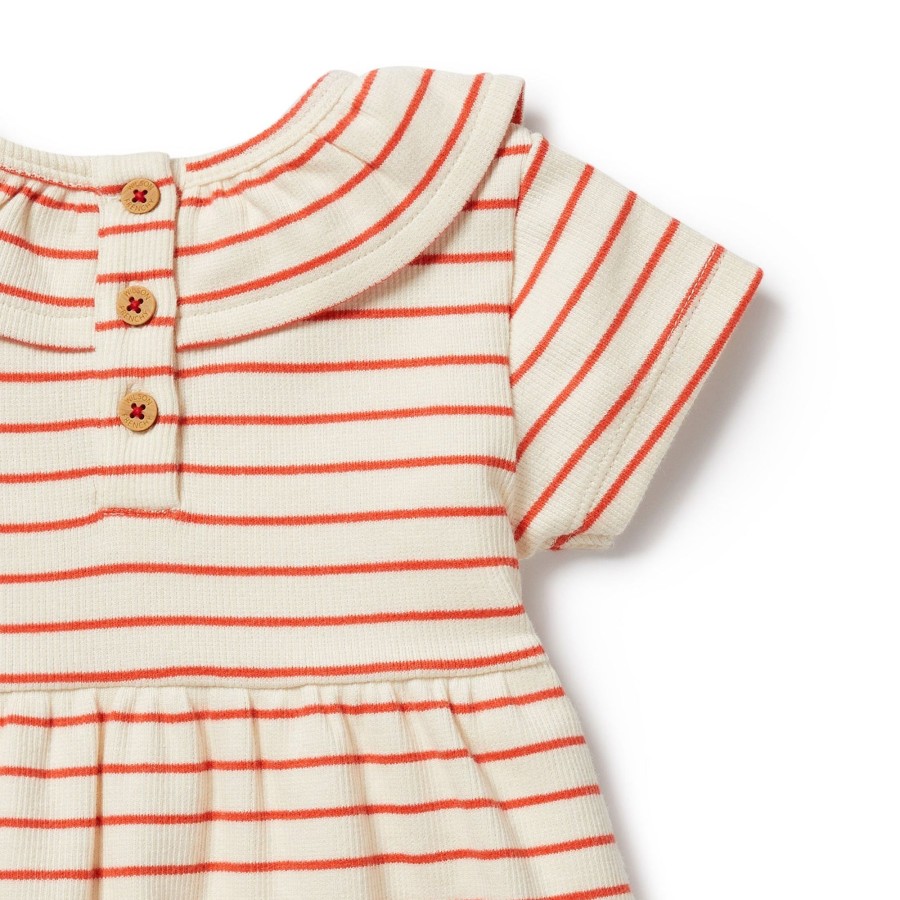 Baby [0-23M] Wilson & Frenchy Dresses | Wilson And Frenchy Organic Ruffle Dress Petit Rouge