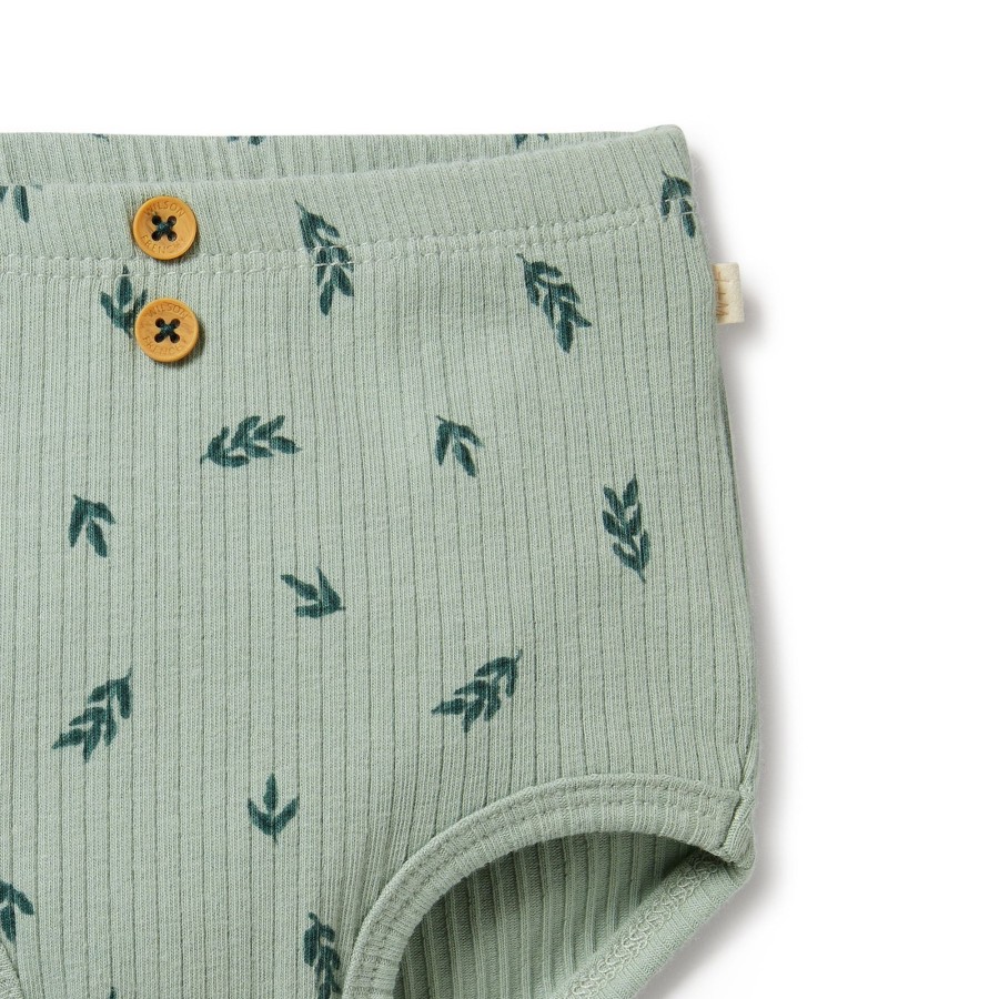 Baby [0-23M] Wilson & Frenchy Bottoms | Wilson And Frenchy Organic Rib Nappy Pant Falling Leaf