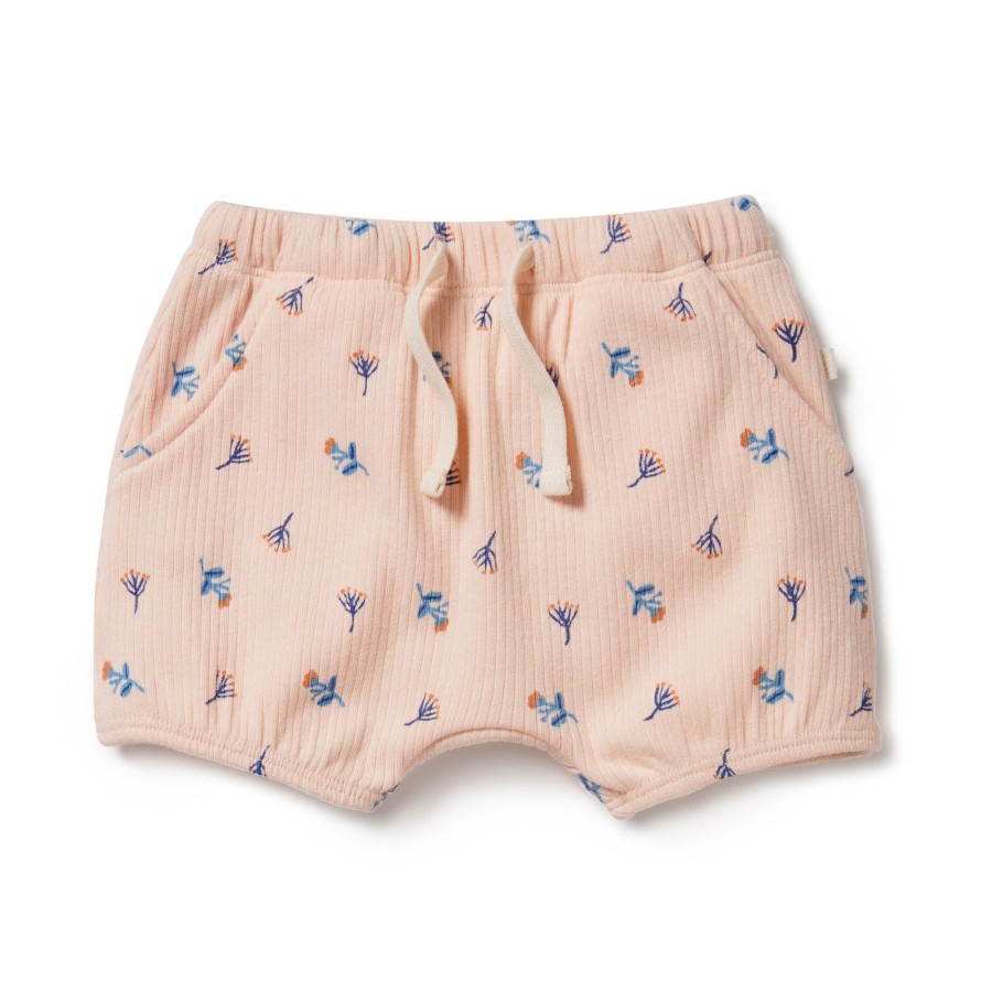 Baby [0-23M] Wilson & Frenchy Bottoms | Wilson And Frenchy Organic Rib Bloomer Short Little Flower