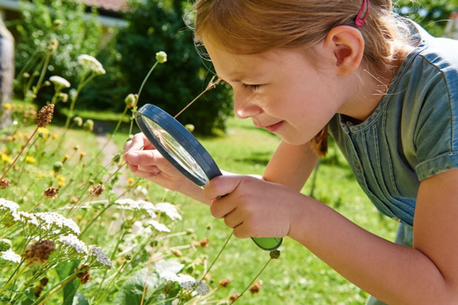 Play + Learn Haba S.T.E.M. | Terra Kids Magnifiying Glass