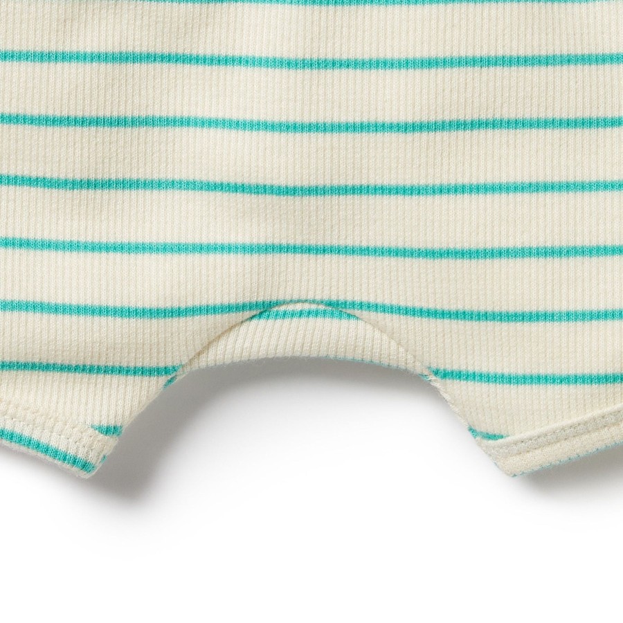 Baby [0-23M] Wilson & Frenchy Bottoms | Wilson And Frenchy Organic Short Petit Green