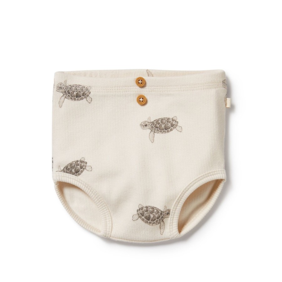 Baby [0-23M] Wilson & Frenchy Bottoms | Wilson And Frenchy Organic Nappy Pant Tiny Turtle