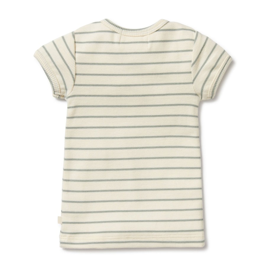 Baby [0-23M] Wilson & Frenchy Tops | Wilson And Frenchy Organic Henley Tee Petit Sage