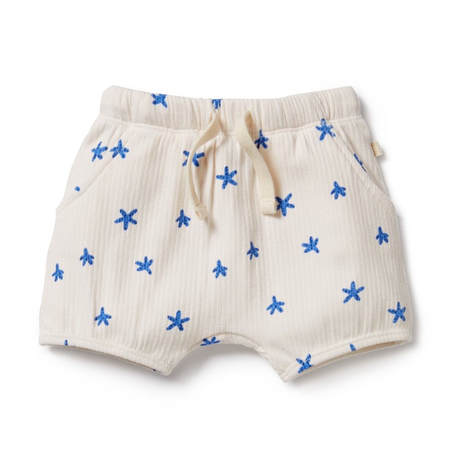 Baby [0-23M] Wilson & Frenchy Bottoms | Wilson And Frenchy Organic Rib Bloomer Short Little Starfish